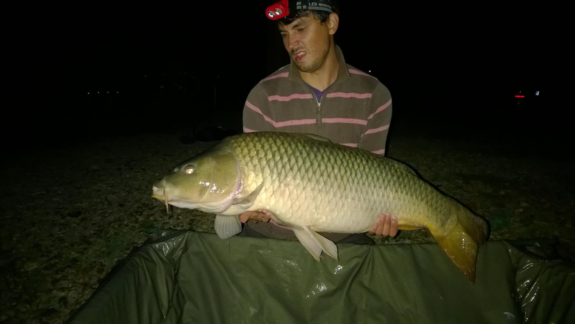 Hermes Peris 12 - 14 septembrie 2014 - wp20140914008.jpg